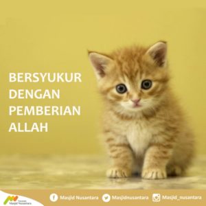 Bersyukur copy