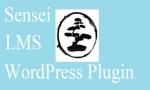 Read more about the article Optimisasi Sensei LMS: Perubahan, Tantangan, dan Solusi
