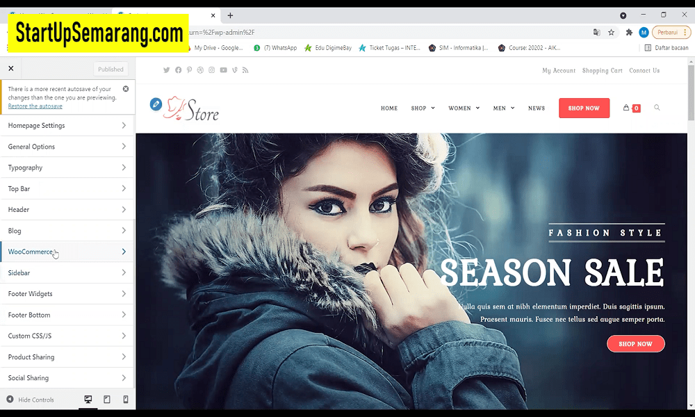 You are currently viewing Mempersonalisasi Tampilan Tipografi di WordPress dengan OceanWP